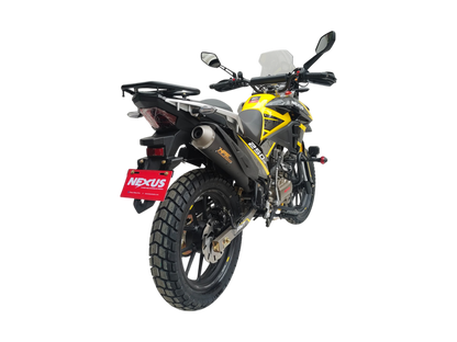 NEXUS 250DM