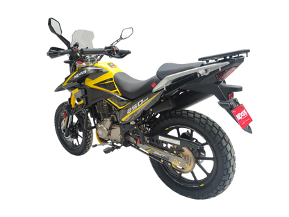 NEXUS 250DM