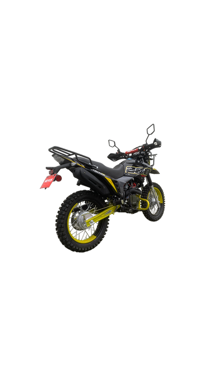 NEXUS 200TRITON