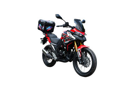 RONCO DOMINATOR 250ADV1