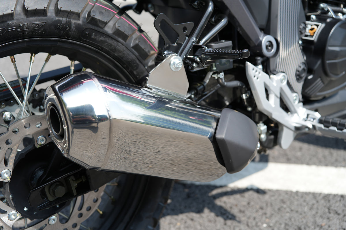 RONCO DOMINATOR 250ADV1
