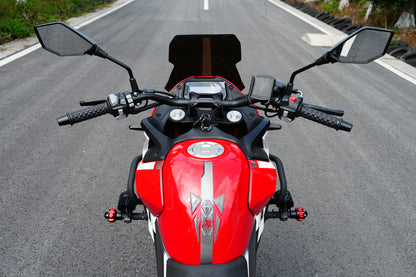 RONCO DOMINATOR 250ADV1