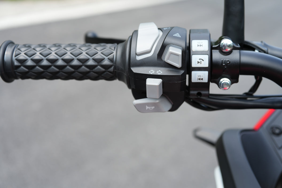 RONCO DOMINATOR 250ADV1