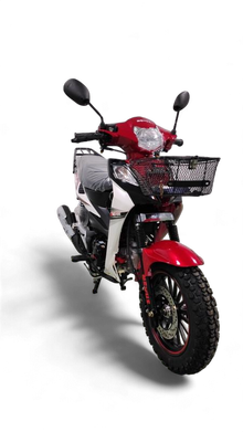 NEXUS 125 A 2024