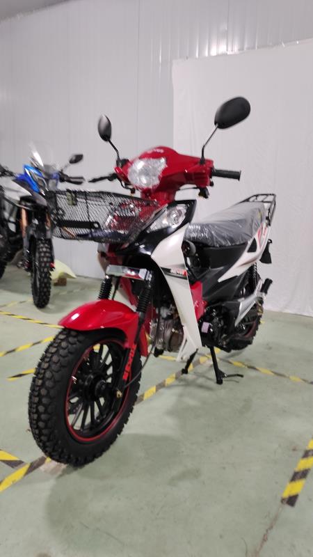 NEXUS 125 A 2024