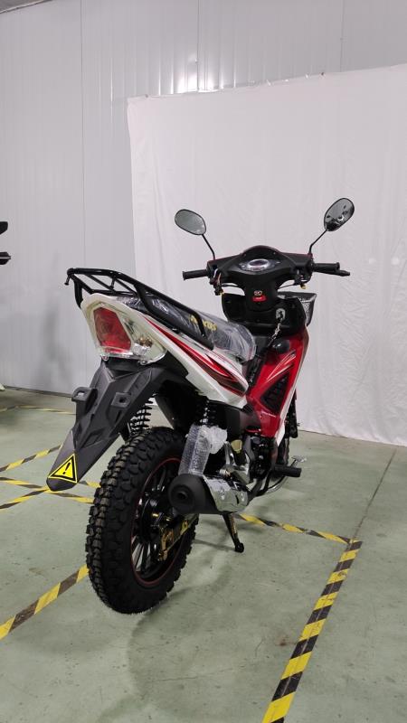 NEXUS 125 A 2024