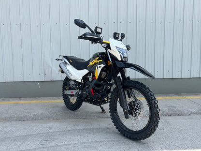 MRX 200 PRO JCH
